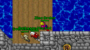 Zios Order on screen