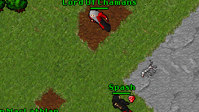 Lord Of Chamans on screen