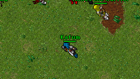 Kafum on screen