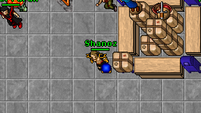 Shanoz on screen