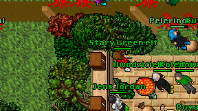 Stary Green elf on screen