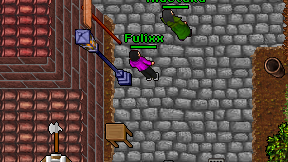 Fulixx on screen