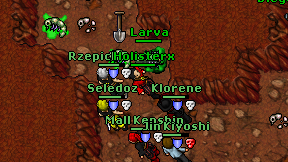 Holisterx on screen