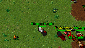 Shugo Magic on screen