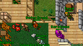 Sefer Druid on screen