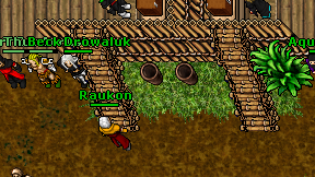 Raukon on screen