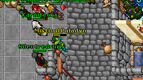 Mistical Paladyn on screen