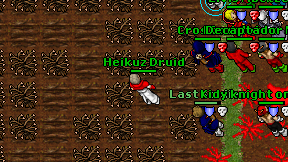 Heikuz Druid on screen