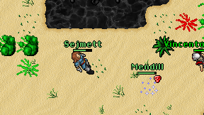Sejmett on screen