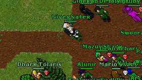 Nives Natex on screen