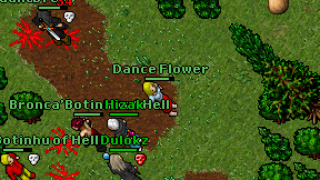 Dance Flower on screen