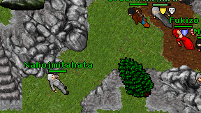 Nahojmitahata on screen