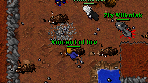 Vincent of lov on screen