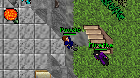 Poozle on screen