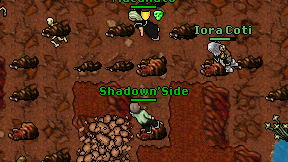 Shadown'Side on screen