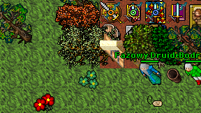 Bodrex on screen