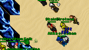 Skaise on screen