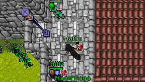Maltu on screen