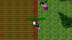 Marceloskt on screen