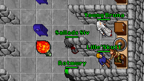Sallads Siv on screen