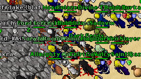 Wasik on screen