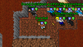Pardal on screen