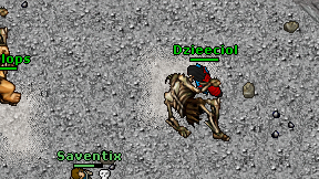 Dzieeciol on screen