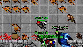 Sei Fon on screen