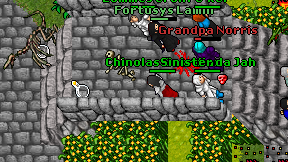 Chinolas Guardian on screen