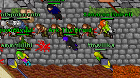 Ark The Druid on screen