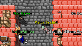 Valor Orchid on screen