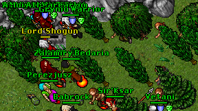 Rikape on screen