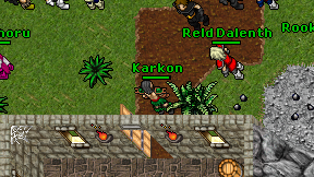 Karkon on screen