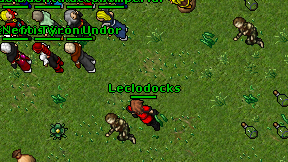 Leclodocks on screen