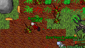 Rafnew on screen