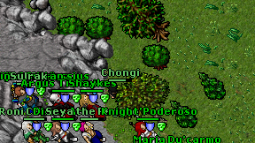 Chongi on screen