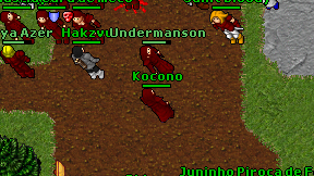 Kocono on screen
