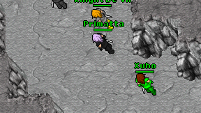 Primatta on screen