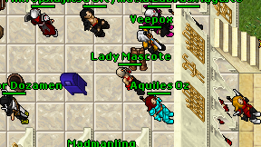 Lady Mascote on screen