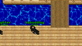 Sabudding on screen