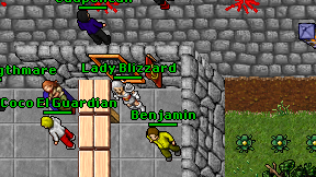 Lady Blizzard on screen