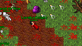 Lordka Knight on screen
