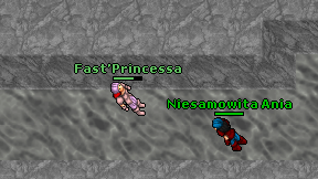 Fast'Princessa on screen