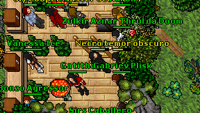 Vobim on screen