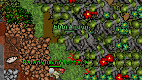Ebbi Andon on screen