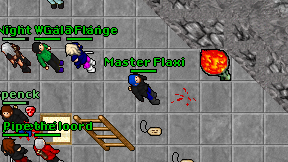 Master Flaxi on screen