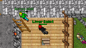 Liver Saint on screen