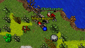 Silga Anger on screen