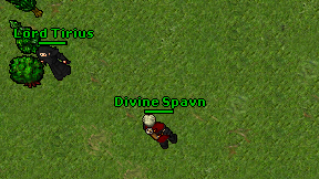 Divine Spavn on screen