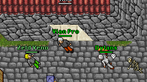 Vian Pro on screen